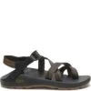 Chaco Men's Z/2 Classic Sandals - Bracken Bronze